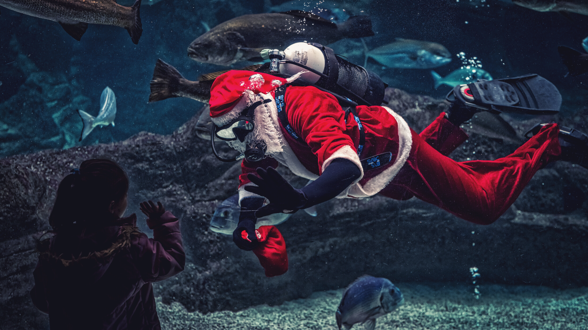 What Santa Can Teach Your Kids (and You) About Work Ethic